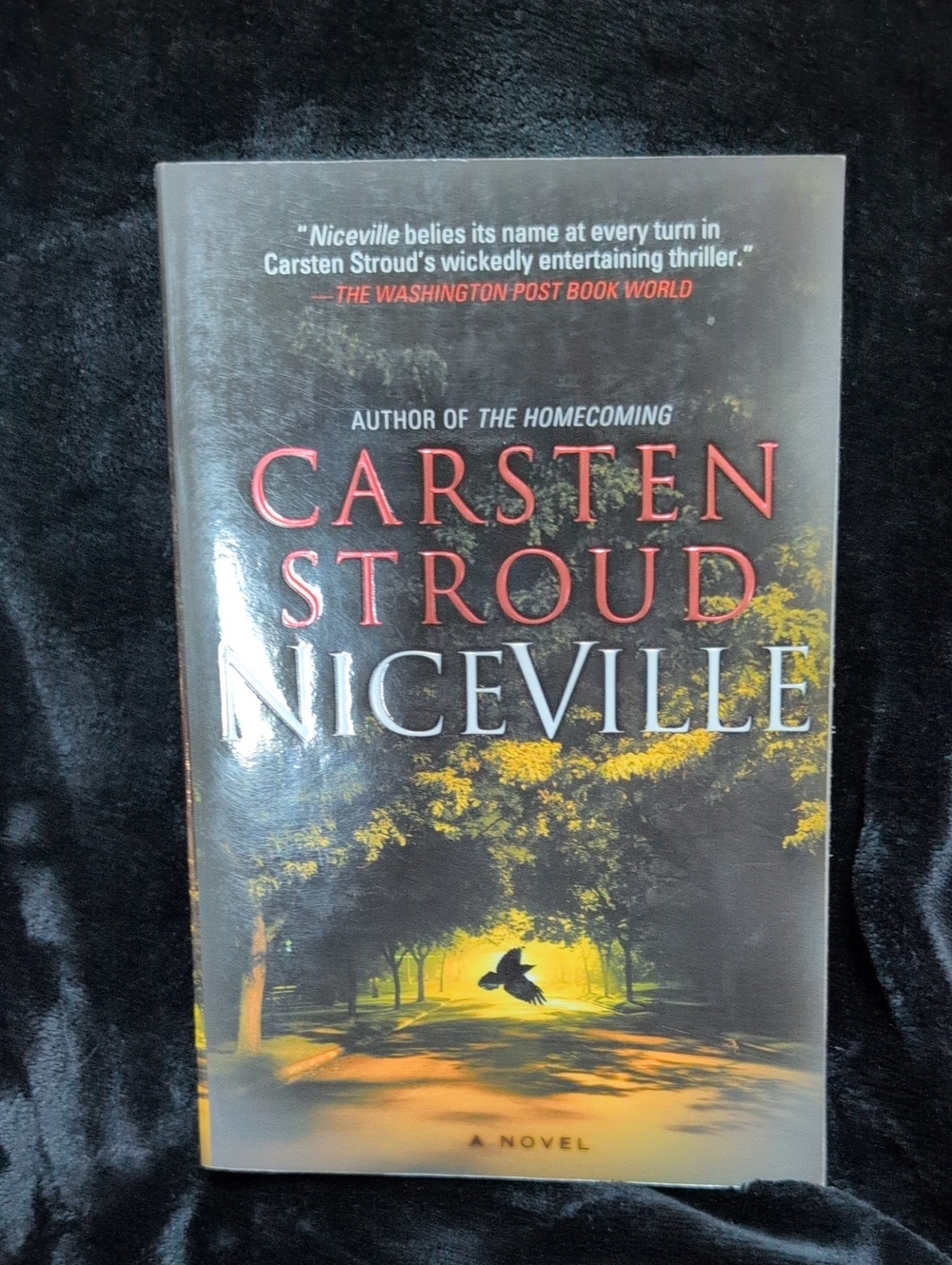 Carsten Stroud "Niceville" Paperback Novel